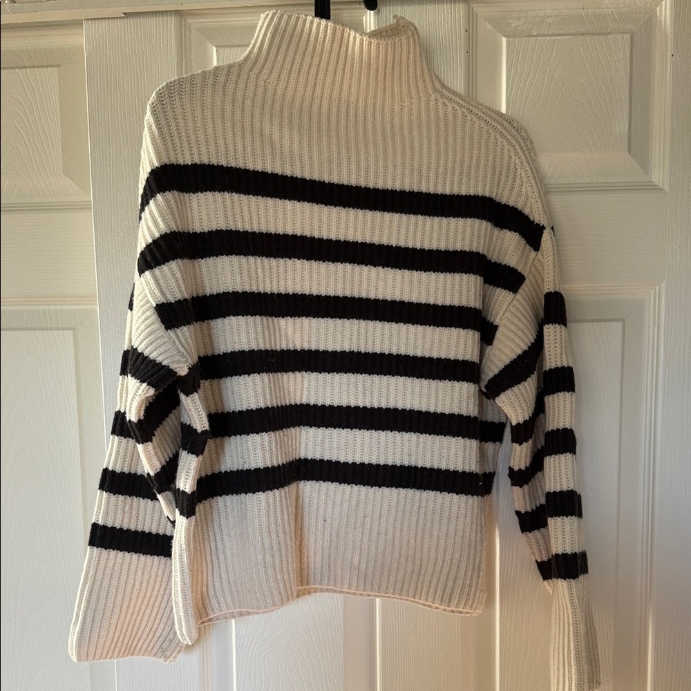Everlane Black and Cream Striped Turtleneck Sweater